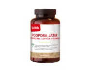 14742-apotheke podpora jater ostropestrec + artycok + vitamin b6 tob.90